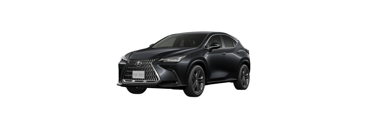 NX 350 FF F-Sport